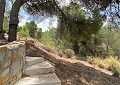 Stunning 5 Bed 2 Bath Traditional Villa in 140,000m2 of Woodland in Sax in Real Estate Alicante