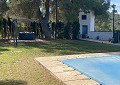 Stunning 5 Bed 2 Bath Traditional Villa in 140,000m2 of Woodland in Sax in Real Estate Alicante