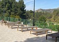 Stunning 5 Bed 2 Bath Traditional Villa in 140,000m2 of Woodland in Sax in Real Estate Alicante