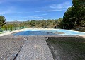 Stunning 5 Bed 2 Bath Traditional Villa in 140,000m2 of Woodland in Sax in Real Estate Alicante