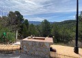 Stunning 5 Bed 2 Bath Traditional Villa in 140,000m2 of Woodland in Sax in Real Estate Alicante