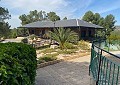 Stunning 5 Bed 2 Bath Traditional Villa in 140,000m2 of Woodland in Sax in Real Estate Alicante