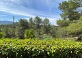 Stunning 5 Bed 2 Bath Traditional Villa in 140,000m2 of Woodland in Sax in Real Estate Alicante