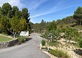 Stunning 5 Bed 2 Bath Traditional Villa in 140,000m2 of Woodland in Sax in Real Estate Alicante