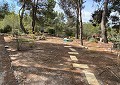 Stunning 5 Bed 2 Bath Traditional Villa in 140,000m2 of Woodland in Sax in Real Estate Alicante