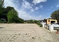 4 Bed Finca with Pool and Lovely Garden Area 10 Minutes Walk To Town of Sax in Real Estate Alicante
