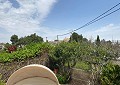 4 Bed Finca with Pool and Lovely Garden Area 10 Minutes Walk To Town of Sax in Real Estate Alicante