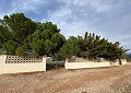Prachtige finca in Sax met 2 slaapkamers, 1 badkamer en potentieel voor veel meer in Real Estate Alicante