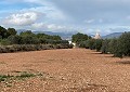 Prachtige finca in Sax met 2 slaapkamers, 1 badkamer en potentieel voor veel meer in Real Estate Alicante