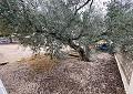 Prachtige finca in Sax met 2 slaapkamers, 1 badkamer en potentieel voor veel meer in Real Estate Alicante