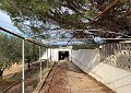 Prachtige finca in Sax met 2 slaapkamers, 1 badkamer en potentieel voor veel meer in Real Estate Alicante