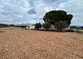 Prachtige finca in Sax met 2 slaapkamers, 1 badkamer en potentieel voor veel meer in Real Estate Alicante
