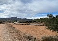 Prachtige finca in Sax met 2 slaapkamers, 1 badkamer en potentieel voor veel meer in Real Estate Alicante