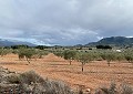 Prachtige finca in Sax met 2 slaapkamers, 1 badkamer en potentieel voor veel meer in Real Estate Alicante