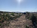 Building Plot near Monforte del Cid in Real Estate Alicante