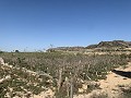 Building Plot near Monforte del Cid in Real Estate Alicante
