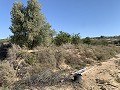 Building Plot near Monforte del Cid in Real Estate Alicante