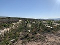 Building Plot near Monforte del Cid in Real Estate Alicante