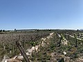 Building Plot near Monforte del Cid in Real Estate Alicante