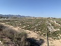 Building Plot near Monforte del Cid in Real Estate Alicante