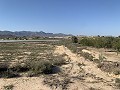 Building Plot near Monforte del Cid in Real Estate Alicante
