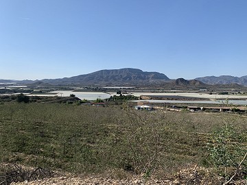 Building Plot near Monforte del Cid