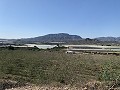 Building Plot near Monforte del Cid in Real Estate Alicante