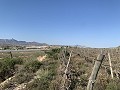 Building Plot near Monforte del Cid in Real Estate Alicante