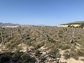 Building Plot near Monforte del Cid in Real Estate Alicante