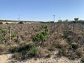 Building Plot near Monforte del Cid in Real Estate Alicante