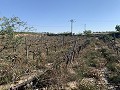Building Plot near Monforte del Cid in Real Estate Alicante