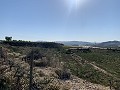 Building Plot near Monforte del Cid in Real Estate Alicante