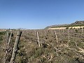 Building Plot near Monforte del Cid in Real Estate Alicante