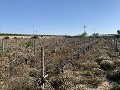 Building Plot near Monforte del Cid in Real Estate Alicante