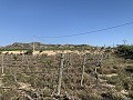 Building Plot near Monforte del Cid in Real Estate Alicante