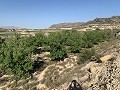 Building Plot near Monforte del Cid in Real Estate Alicante