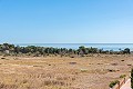 Apartamento de 2 dormitorios en Punta Prima in Real Estate Alicante