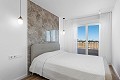 Apartamento de 2 dormitorios en Punta Prima in Real Estate Alicante