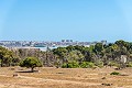Apartamento de 2 dormitorios en Punta Prima in Real Estate Alicante