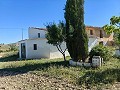 Beautiful Rural Country Home Awaiting a New Beginning  in Real Estate Alicante