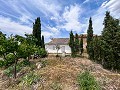 Beautiful Rural Country Home Awaiting a New Beginning  in Real Estate Alicante
