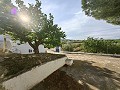 Spacieuse maison troglodyte de 230 m² avec vue sur la montagne près de Pinoso in Real Estate Alicante