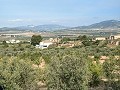 Spacieuse maison troglodyte de 230 m² avec vue sur la montagne près de Pinoso in Real Estate Alicante