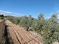 Gemütliches Landhaus mit 2 Schlafzimmern, atemberaubender Aussicht und asphaltierter Zufahrt, 11 km von Yecla in Real Estate Alicante