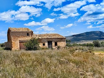 Ruina en Pinoso con suficiente terreno para construir una nueva vivienda