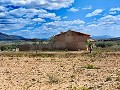 Ruina en Pinoso con suficiente terreno para construir una nueva vivienda in Real Estate Alicante