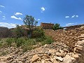 Ruina en Pinoso con suficiente terreno para construir una nueva vivienda in Real Estate Alicante