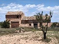 Ruina en Pinoso con suficiente terreno para construir una nueva vivienda in Real Estate Alicante