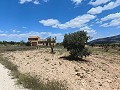 Ruina en Pinoso con suficiente terreno para construir una nueva vivienda in Real Estate Alicante