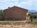 Ruina en Pinoso con suficiente terreno para construir una nueva vivienda in Real Estate Alicante
